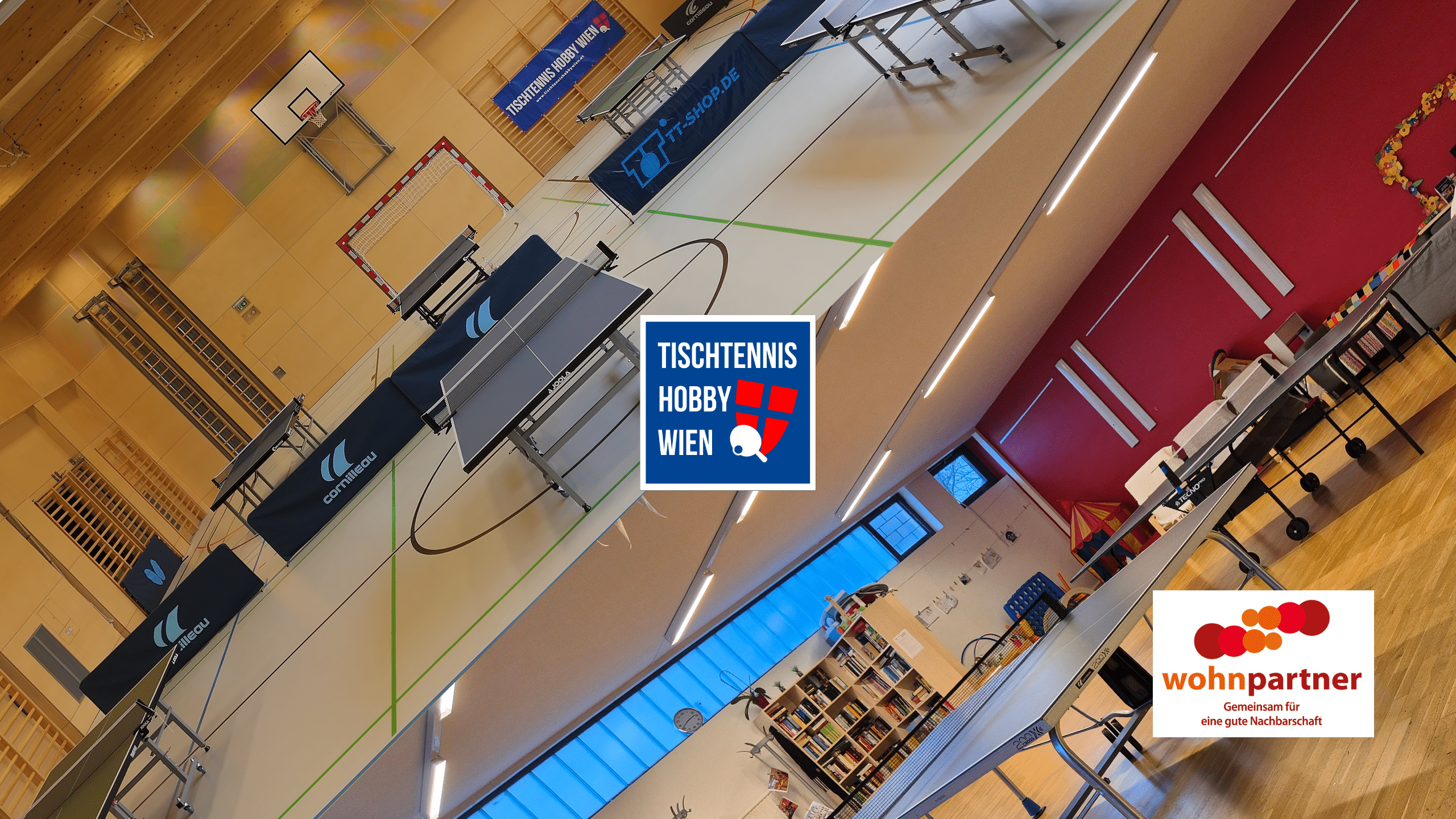 Unsere Tischtennis Erweiterung 2.0 ist da! Wir haben nicht nur neue Standorte erschlossen, sondern auch unsere Hallenzeiten massiv ausgebaut. Damit schaffen wir mehr Raum für das Wesentliche: den Sport und die Gemeinschaft. Ein starkes Zeichen, um Tischtennis in Wien neu zu erleben!